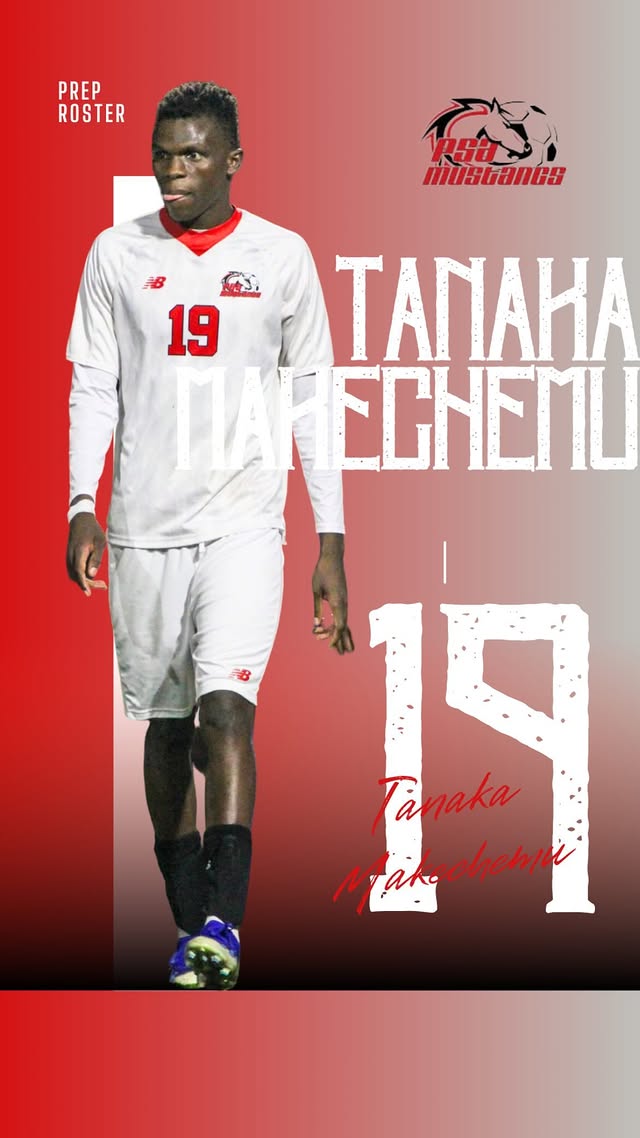 Tanaka Makechemu